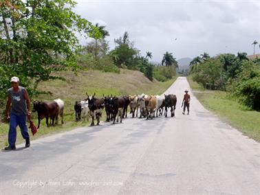 2010 Cuba, Chivirico - Baracoa, DSC09873b_B740